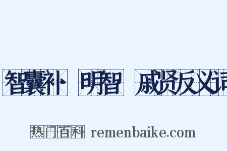 智囊补·明智·戚贤反义词是什么意思的图片